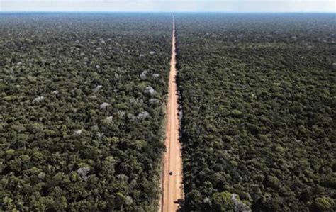 Br 319 The Beginning Of The End For Brazils Amazon Forest Commentary