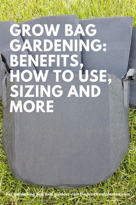 Grow Bag Gardening Benefits How To Use Sizing And More Grow Bags