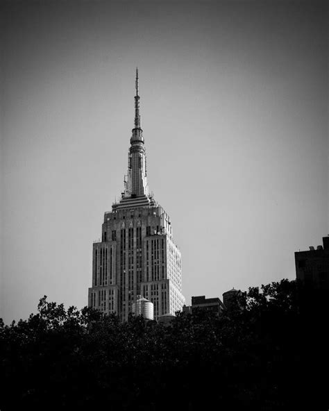 Treetops #NYC #empirestatebuilding Black and White Photography