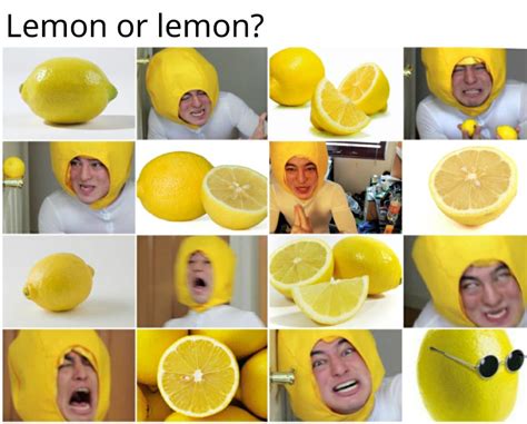 definitely lemon fresh memes best memes memes daftsex hd