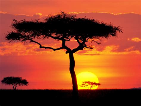 Colour Inspiration African Sunsets Avance Creative Visions