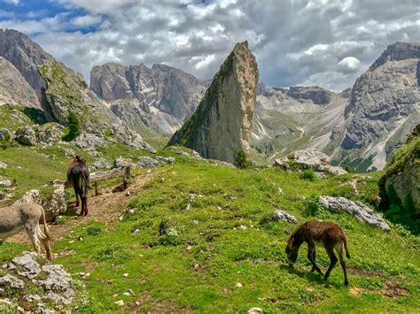 Two Great Hikes In Val Gardena In The Italian Dolomites