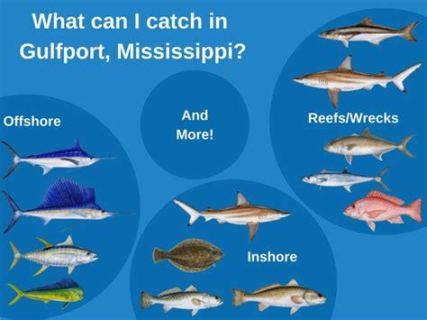 Gulfport Mississippi Fishing An Ultimate Guide