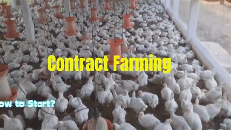 how to make broiler poultry contract farming in india youtube