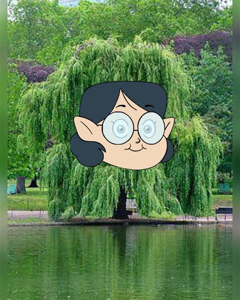 Day 36 Willow In A Willow Theowlhouse