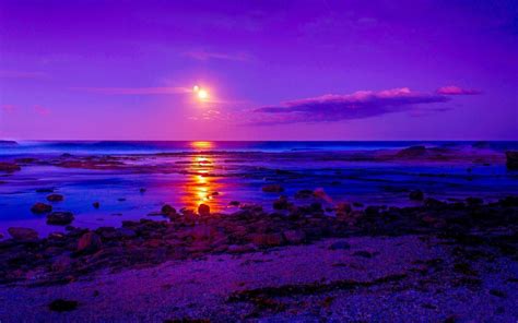 Purple Sunset Beautiful Sunset Scenery Purple Sunset