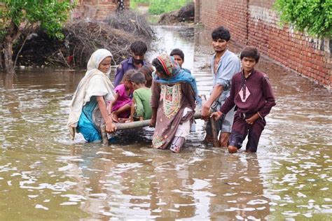 pakistan flood losses may cross 40 billion