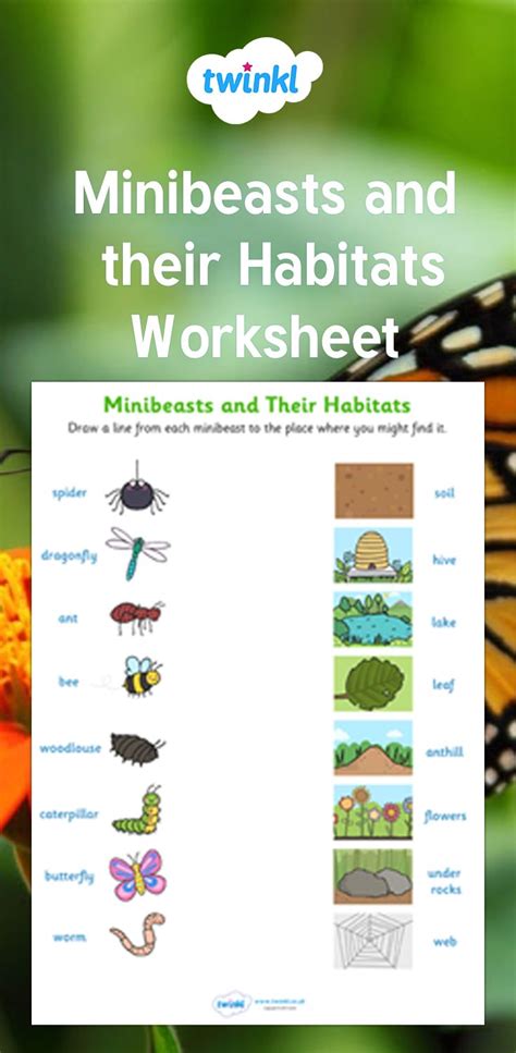 A Book With Pictures Of Butterflies And Their Habitats