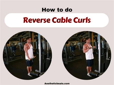 Reverse Cable Curls Forearms Exercise Aestheticbeats