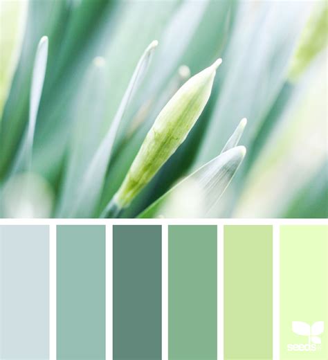 Color Nature Green Color Schemes Green Colour Palette Bedroom