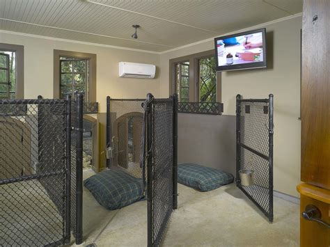 Dog House Interior 2 Dog Rooms Building A Dog Kennel Dog Boarding