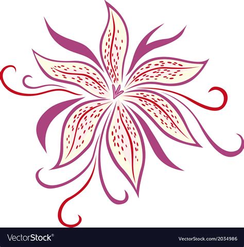 Lily Flower Royalty Free Vector Image Vectorstock
