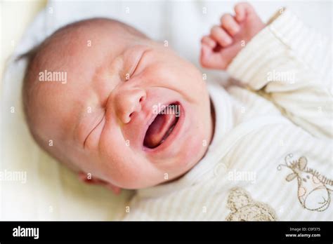 Crying Newborn Baby Stock Photo Alamy