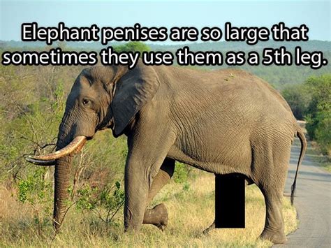 14 immature facts you can fill your head with gallery ebaum s world