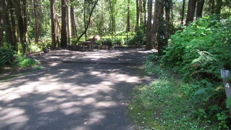 Site 004 Tyee Campground Umpqua River