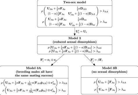 Coexistence Conditions For The Two Sex Model And Several Modifications Download Scientific