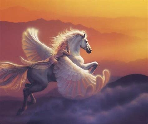 Pegasus Horse Wing Girl Fantasy Unicorn Sky Cloud Sky Sunset