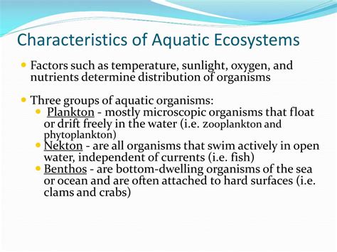 Ppt Chapter 8 Aquatic Ecosystems Powerpoint Presentation Free