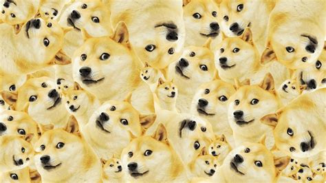 Check out this fantastic collection of doge wallpapers, with 47 doge background images for your desktop, phone or tablet. 76+ Doge Meme Wallpapers on WallpaperPlay