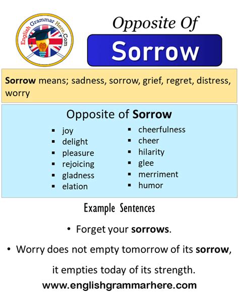 Opposite Of Sorrow Antonyms Of Sorrow Meaning And Example Sentences