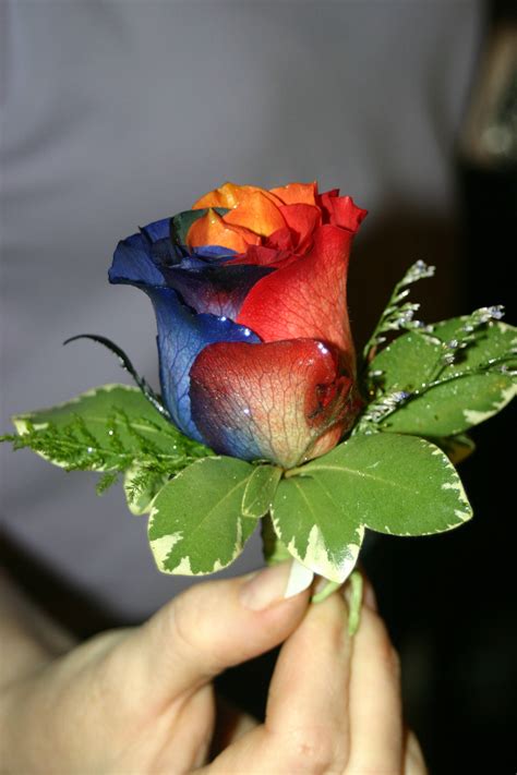 Multi Colored Rose Boutineer Corsage Prom Beautiful Rose Flowers