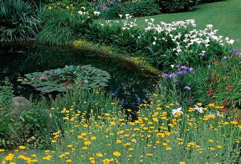 Wassergarten Teich Mit Nymphaea Bild Kaufen 12127515 Gartenbildagentur Friedrich Strauss