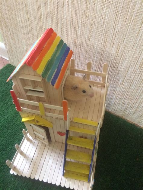 Diy Hamster Rainbow House Rhamsters