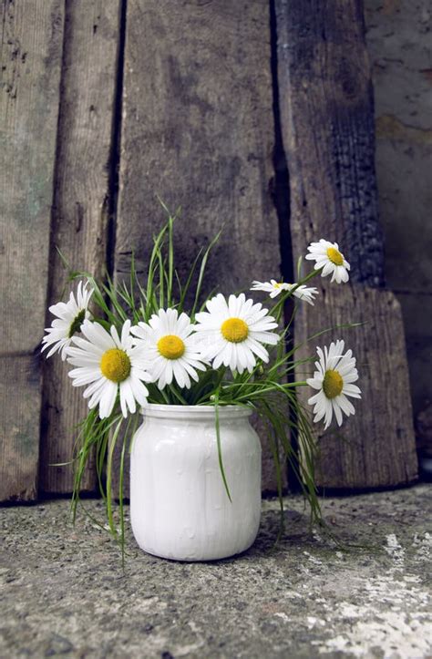 Marguerite Dans Le Vase Et La Carte De Papier Photo Stock Image Du