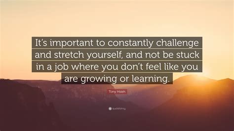 Tony Hsieh Quote Its Important To Constantly Challenge And Stretch