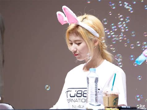 Twice Sana Transforms Into An Adorable Bunny Daily K Pop News