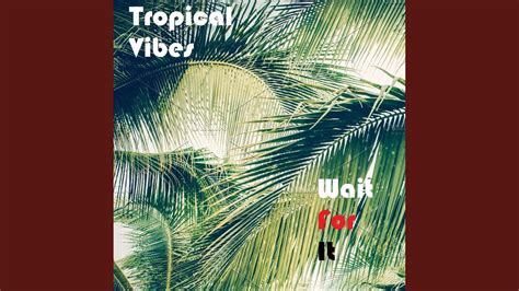 Tropical Vibes Youtube