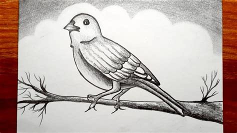 How To Draw Bird Scenery With Pencil Sketch Bird Pencil Drawing