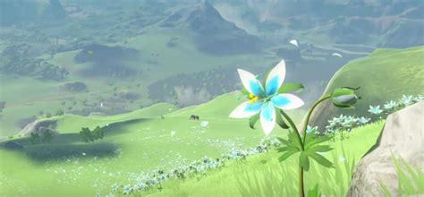 Zelda Breath Of The Wild What Use Is The Silent Princess Flower Arqade