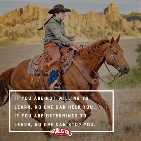 Learning Quote Horseback Riding Horseback Riding Learning Quotes