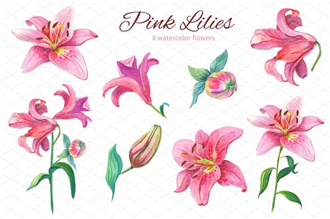 Salepink Lilieswatercolor Clipart Flower Clipart Clip Art Art