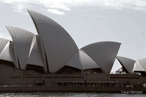 Sydney Opera House Sails By Caryn Benness Redbubble