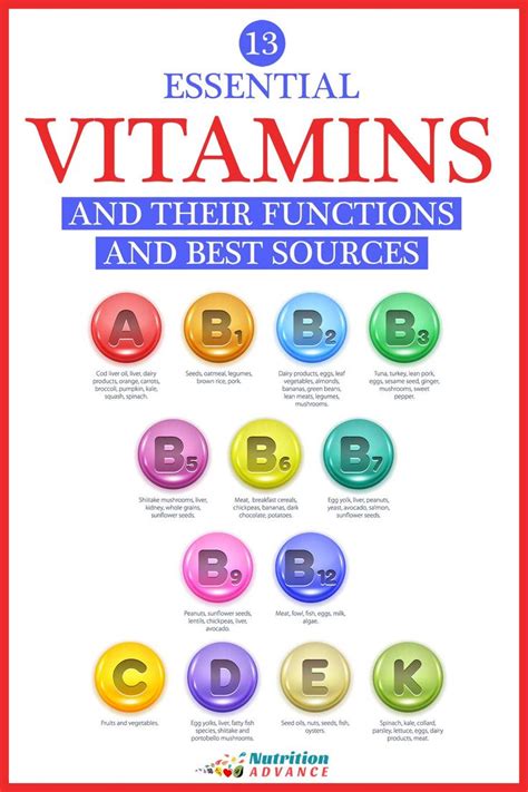 The Essential Vitamins And Where To Get Them Vitamins And Minerals