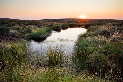 Working Together For The Great North Bog At Cop26 Moors For The Future