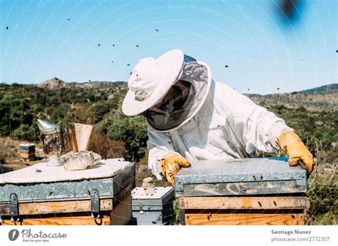 Beekeeper Working Collect Honey A Royalty Free Stock Photo From