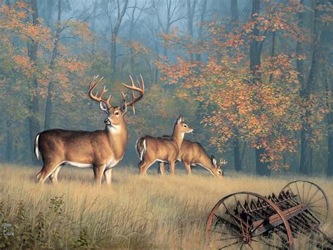 Autumn Glory 550 Pc Puzzle Deer Art Deer Painting Hunting Art