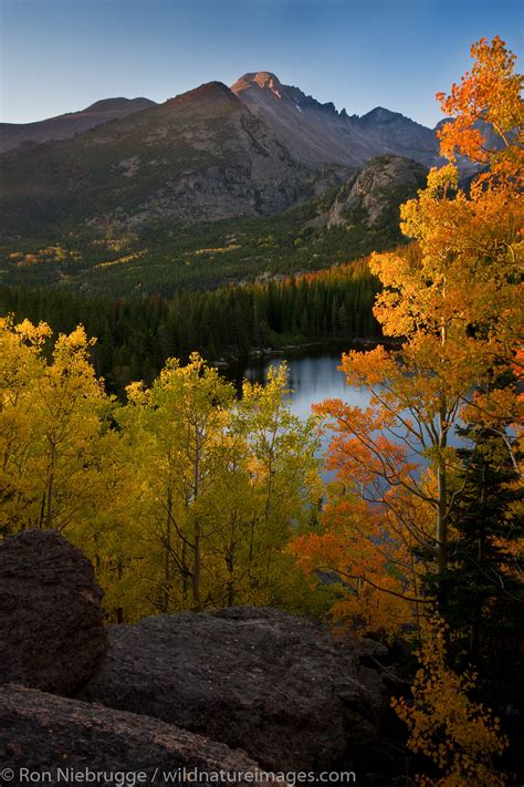 Bear Lake Rocky Mountain National Park Ron Niebrugge Photography