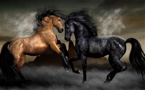 Cool Horse Backgrounds 57 Images