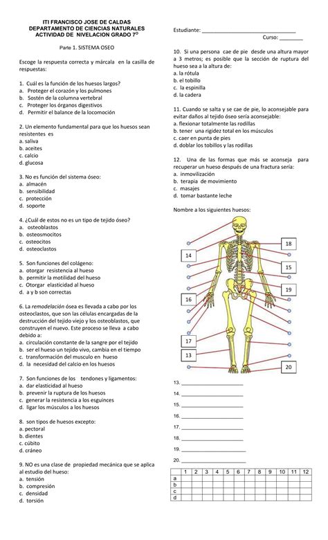 Questões Sobre Sistema Esquelético 6 Ano Pdf