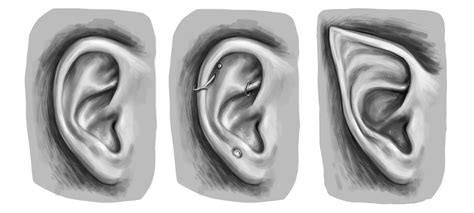 How To Draw An Ear From The Front And From The Side