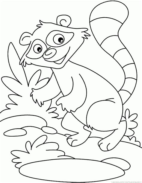 In case you don\'t find what you are looking for, use the top search. Raccoon Coloring Pages