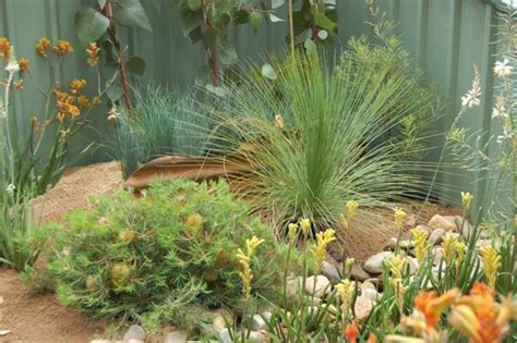 Check Out These Amazing Australian Native Garden Design Ideas