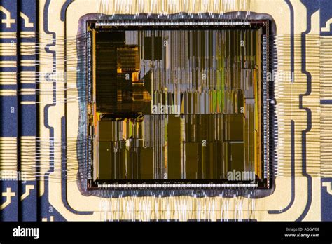 Pentium Processor High Resolution Stock Photography And Images Alamy