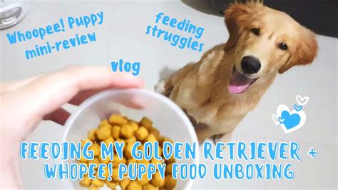 2 to 2 ½ cups a day. FEEDING MY GOLDEN RETRIEVER PUPPY + UNBOXING WHOOPEE ...