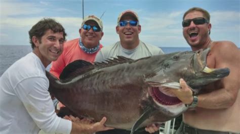 Florida Man Catches Gigantic Black Grouper Possible World Record In