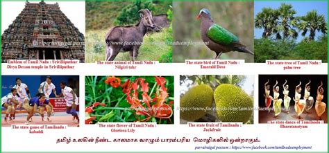 Check spelling or type a new query. TAMILNADU GOVT JOBS : Symbols of Tamil Nadu